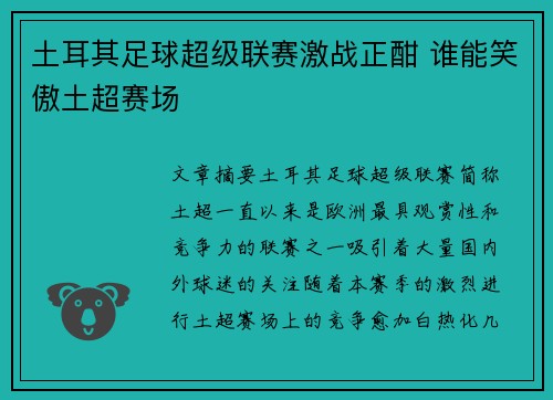 土耳其足球超级联赛激战正酣 谁能笑傲土超赛场